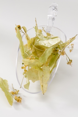 Dried lime tree leaves in a scoop. Naturopathy. White Background.の写真素材