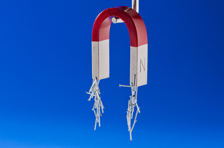 Horseshoe magnet holding a bunch of nails. Blue background.の写真素材