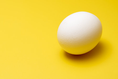 A free range egg on a yellow backgroundの写真素材