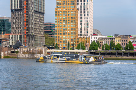 The water bus in Rotterdam sails over the Maas river past the city centerのeditorial素材