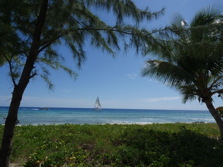 Beautiful view at the beach with a sailboat out in the waterの写真素材
