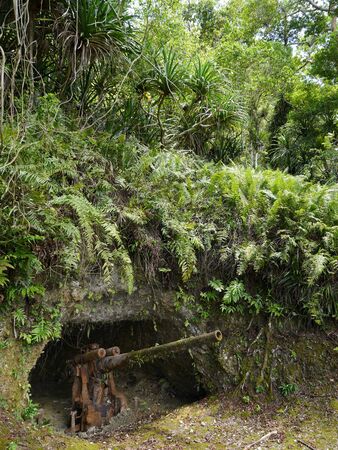 Wide portrait shot of a World War 11 Japanese cannon on Rota, Northern Mariana Islands.の写真素材