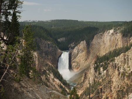 Wide shot of the Lower Falls, Yellowstone National Park, Wyoming.の写真素材