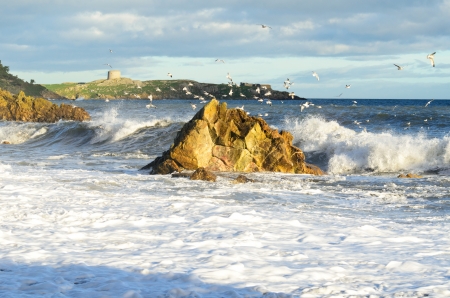 seagulls search for food above a raging sea の写真素材