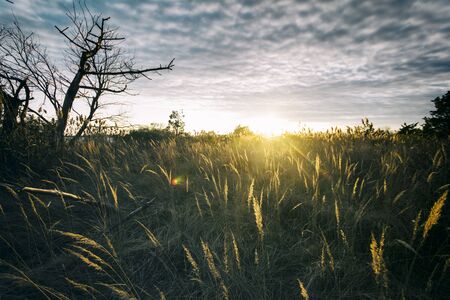 Landscape at the Beachの写真素材
