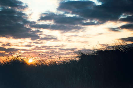 Beach landscapeの写真素材