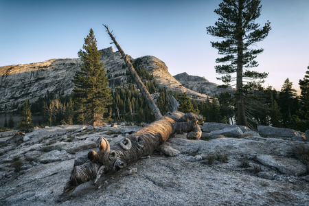 Landscape in the Sierra Nevada mountainsの写真素材