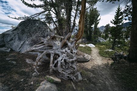 Landscape in the Sierra Nevada mountainsの写真素材