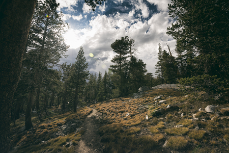 Landscape in the Sierra Nevada mountainsの写真素材