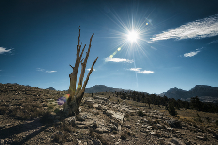 Landscape in the Sierra Nevada mountainsの写真素材