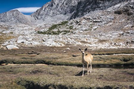 Landscape in the Sierra Nevada mountainsの写真素材