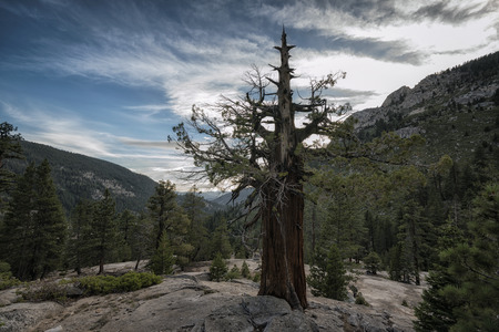 Landscape in the Sierra Nevada mountainsの写真素材