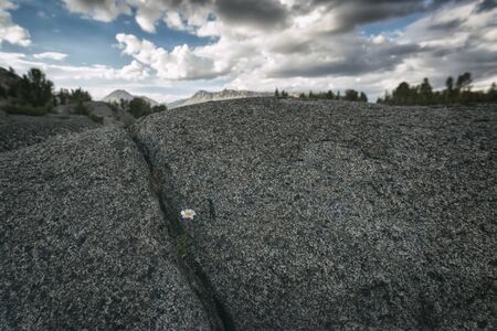 Landscape in the Sierra Nevada mountainsの写真素材