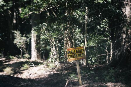 Street sign along a dirt road in Australiaの写真素材