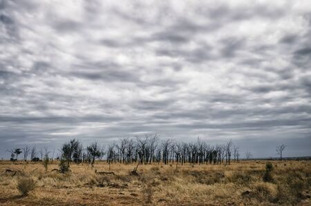 Outback landscape in New Wales, Australiaの写真素材
