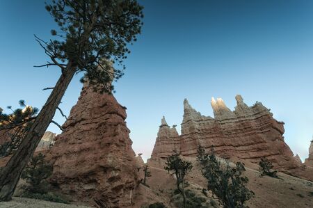 Landscape in Bryce Canyon National Park, United Statesの写真素材