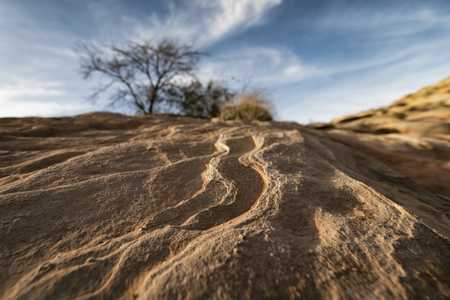 Landscape at Valley of the Fire State Park, Californiaの写真素材