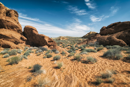 Landscape at Valley of the Fire State Park, Californiaの写真素材