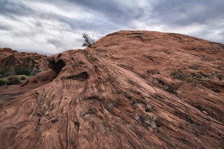 Landscape at Valley of the Fire State Park, Californiaの写真素材