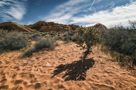 Landscape at Valley of the Fire State Park, Californiaの写真素材