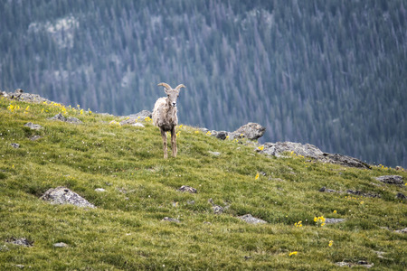 Landscape photograph taken in Rocky Mountains National Park, Coloradoの写真素材