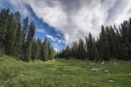 Panoramic view of idyllic summer landscape in the Rocky Mountainsの写真素材