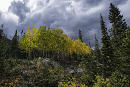 Idyllic fall landscape in the Indian Peaks Wilderness, Colorado, USAの写真素材