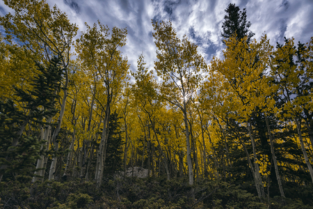 Idyllic fall landscape in the Indian Peaks Wilderness, Colorado, USAの写真素材