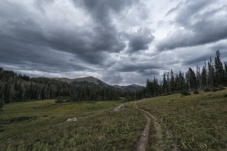 Panoramic view of idyllic fall landscape in the Rawah Wilderness, Colorado, USAの写真素材