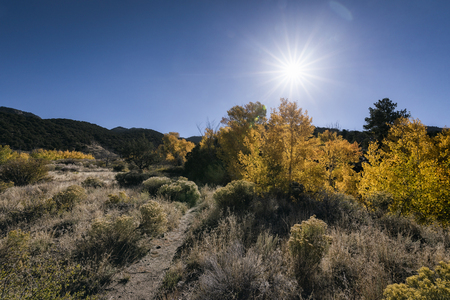 Panoramic view of desert landscape in Great Sand Dunes National Park, Colorado, USAの写真素材