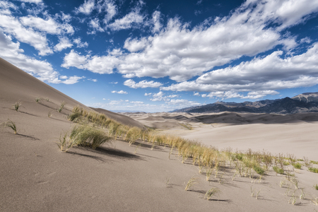 Panoramic view of desert landscape in Great Sand Dunes National Park, Colorado, USAの写真素材