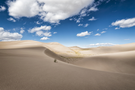 Panoramic view of desert landscape in Great Sand Dunes National Park, Colorado, USAの写真素材
