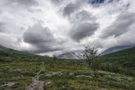 Panoramic view of idyllic landscape in Northern Swedenの写真素材