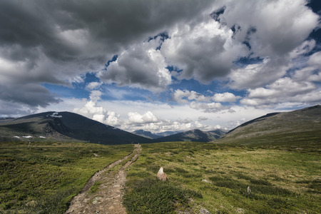 Panoramic view of idyllic landscape in Northern Swedenの写真素材