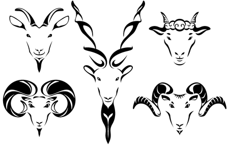 Head of goat and sheet illustration set in Black & whiteのイラスト素材