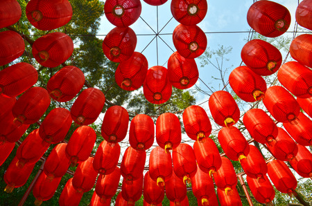 Chinese lanterns hanging in the gardenの写真素材