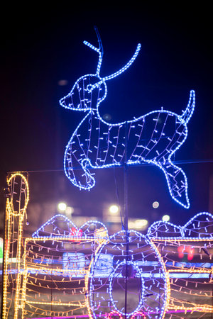 deer christmas decoration in the city at night, closeup of photoの写真素材