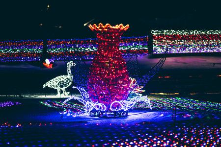 Illuminated reindeer in the street at night, Christmas decorationの写真素材