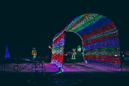 Night view of illuminated bridge with multicolored lights on it.の写真素材