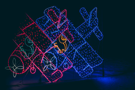 Glowing Christmas lights on a black background. New Year and Christmas decoration.の写真素材