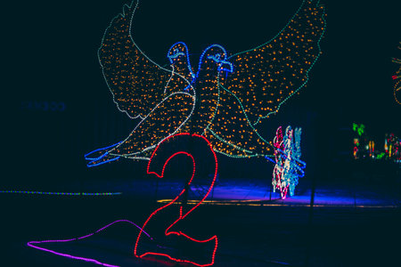 Two birds in the shape of a number 2 in the night illuminationの写真素材