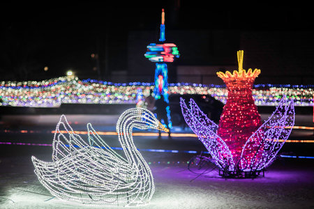 Christmas and New Year illumination in the form of a swan.の写真素材