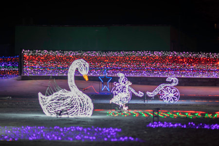 Swan in the park with colorful lights at night.の写真素材