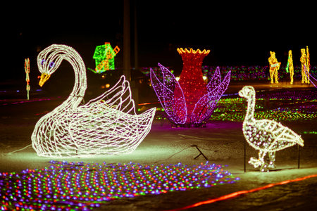 Glowing swans in the winter park at night with lanterns.の写真素材