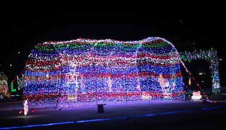 Colorful christmas lights on the road in winter night, Chengdu, Chinaの写真素材