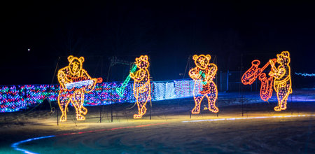 The annual Festival of Lights in November.の写真素材