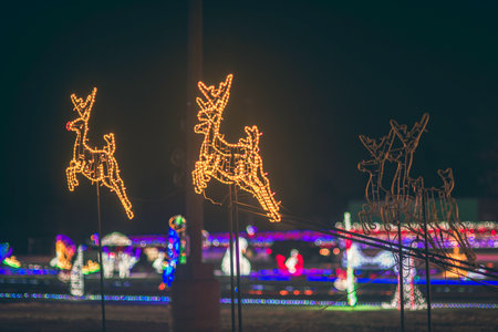 Christmas lights on the carousel at night in the city park.の写真素材