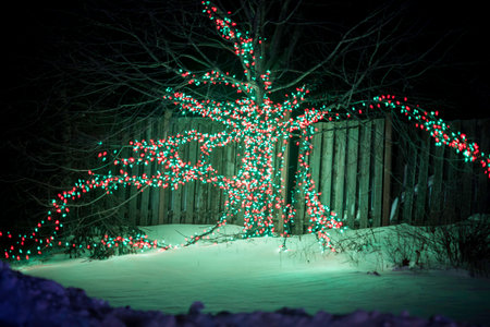Christmas tree in the snow at night with lights in the form of garlandsの写真素材