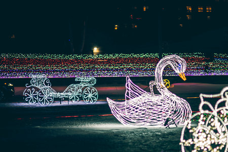 Swan in the city park at night. Christmas lights on the street.の写真素材