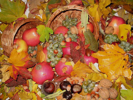 Fruits of the Late Autumn